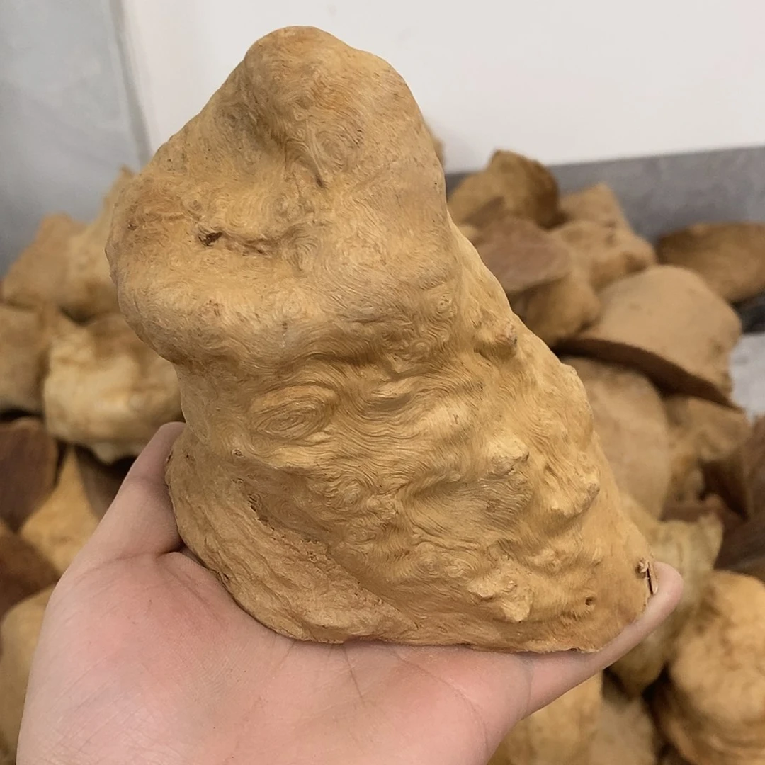 荔枝木自**在荔枝木原料