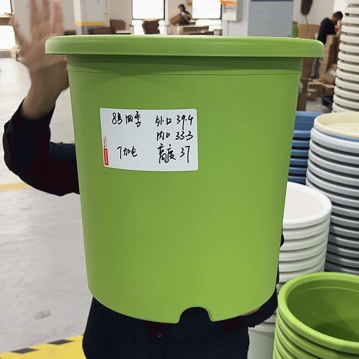 正品8号四季口39.4高37果绿无托3只
