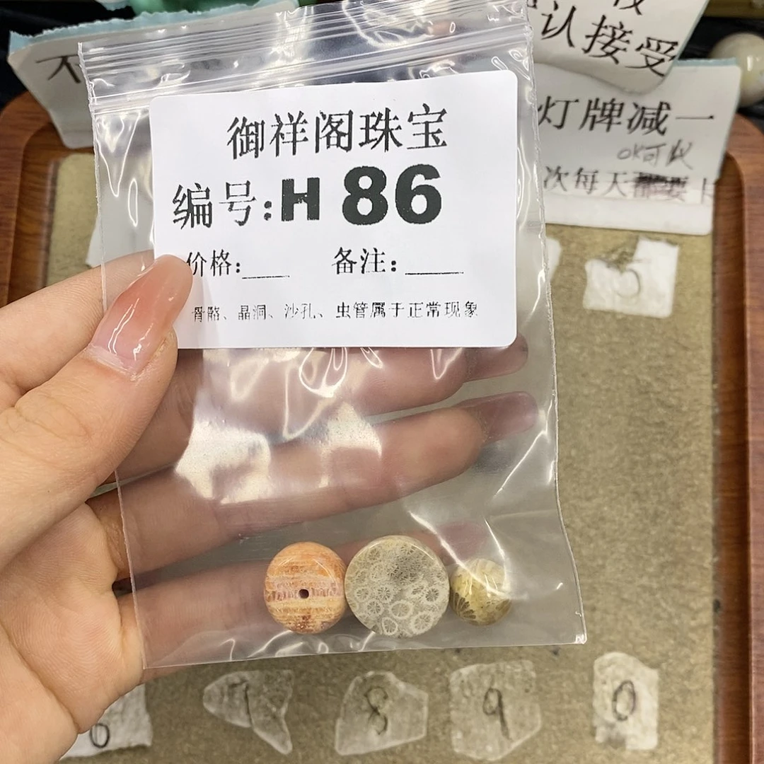 硅化珊瑚（珊瑚玉）未镶嵌颈饰活*