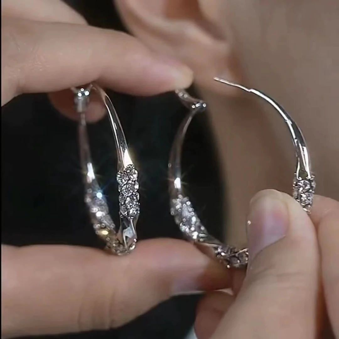 铜合金耳饰 新款爆款高级感小众时尚耳圈耳饰N1910