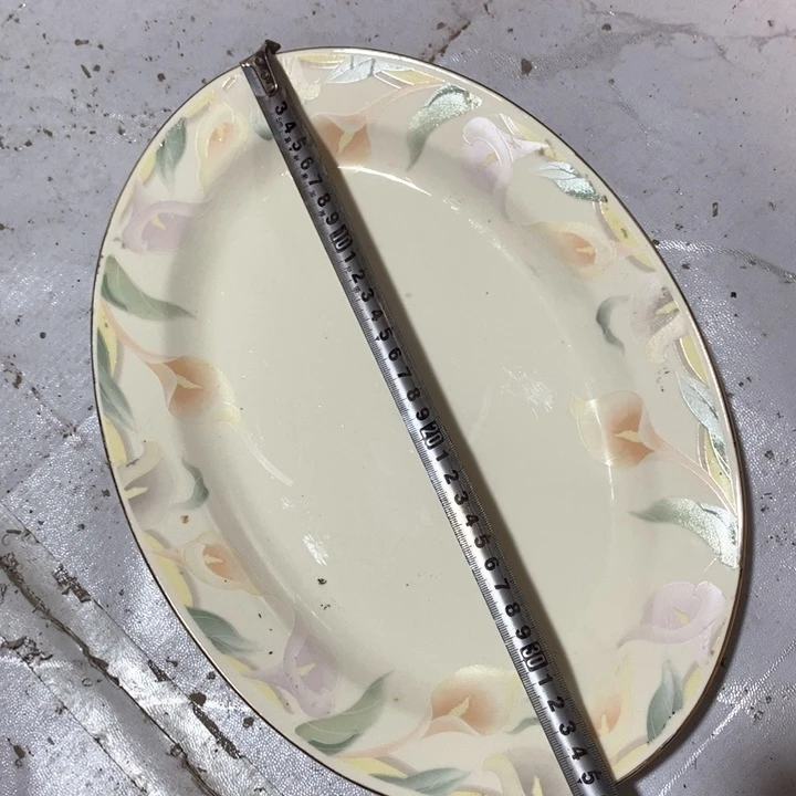瓷片春蕾象牙瓷大鱼盘