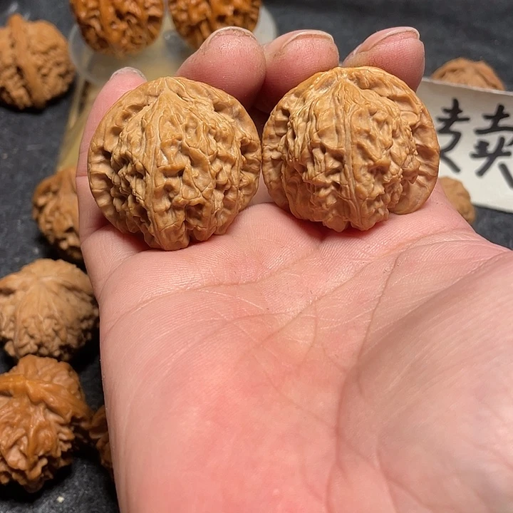 文玩核桃把件白狮子