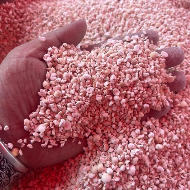 25年新苏南小小片苏芡碎到货 ，专用做米糊和豆浆的好货，数量不多