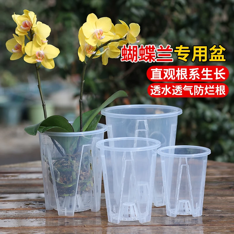 透明水苔蝴蝶兰家庭花盆塑料空气柱镂空专用大号兰花盆家用青山盆