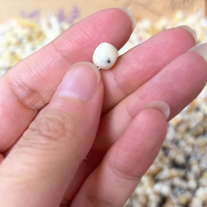 裸石蜜蜡未镶嵌7.9mm一个