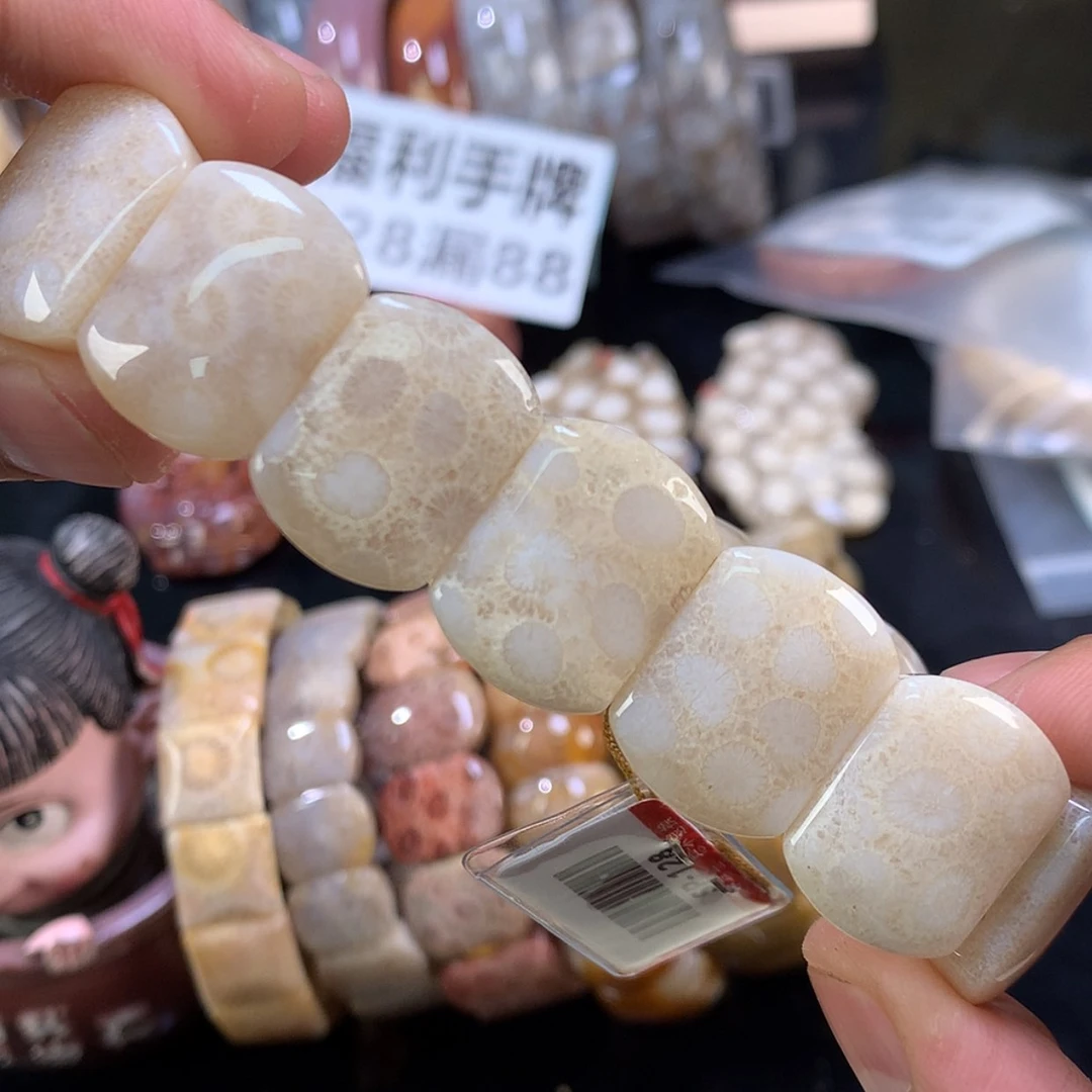 【闪购商品】颈饰未镶嵌硅化珊瑚（珊瑚玉）45号白冰好漏