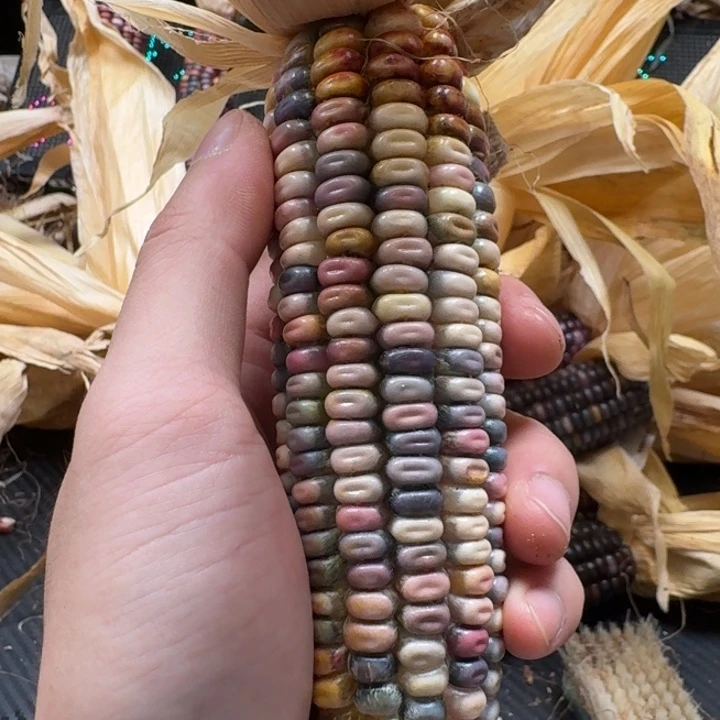 米***夏吊坠柏香籽/百香籽
