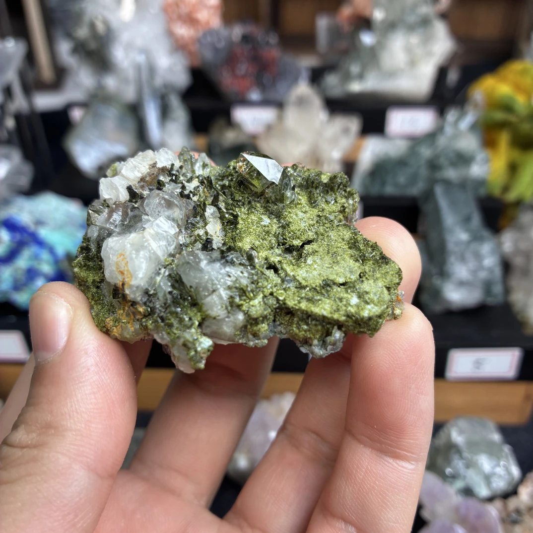 绝美花园造型独特捡漏
