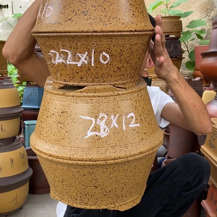 紫砂紫砂紫砂紫砂
