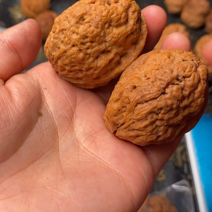 K***r文玩核桃吊坠铁核桃35