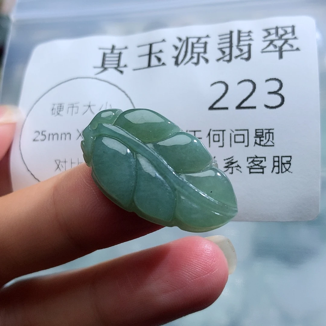 翡翠未镶嵌颈饰223