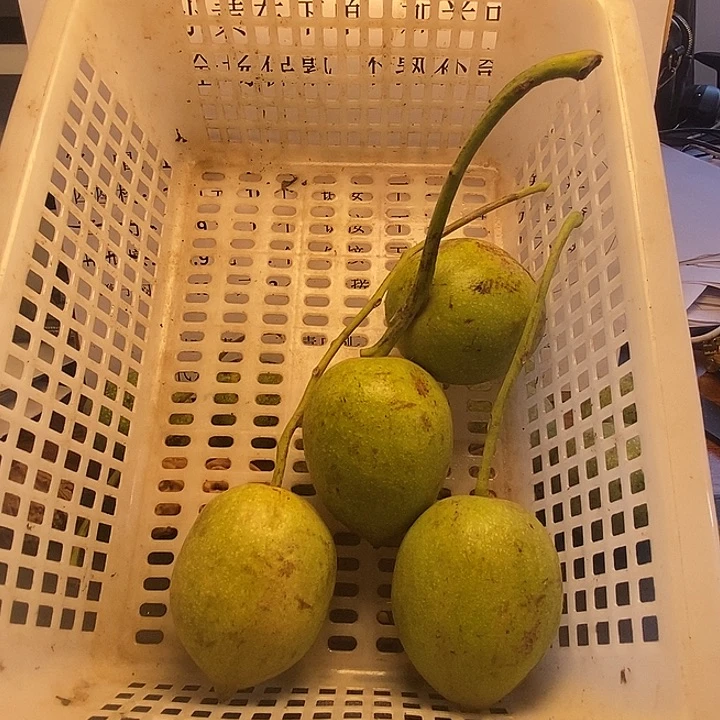 吊坠文玩核桃招财鼠5