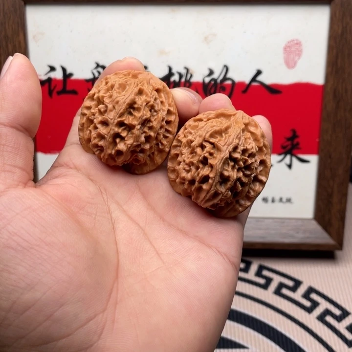核桃原桩无药老树红皮苹果园狮子头40