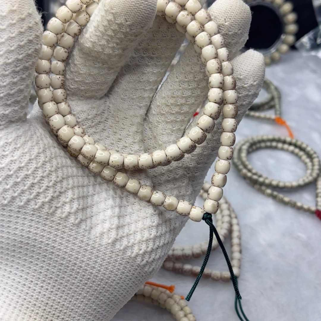 比***星菩提籽类aaaaaaaaaaa6