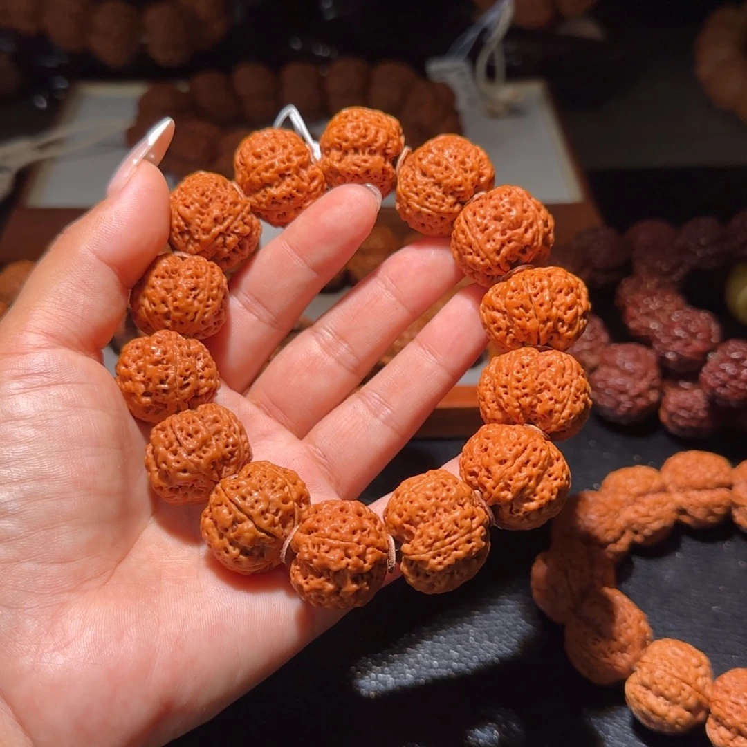 吊坠金刚菩提23多肉开播福利