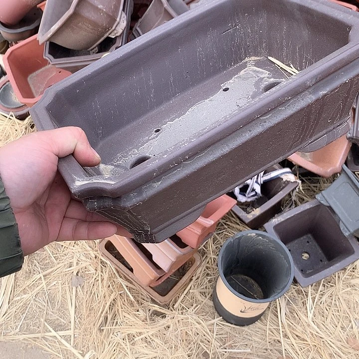 紫砂我要不就是你一