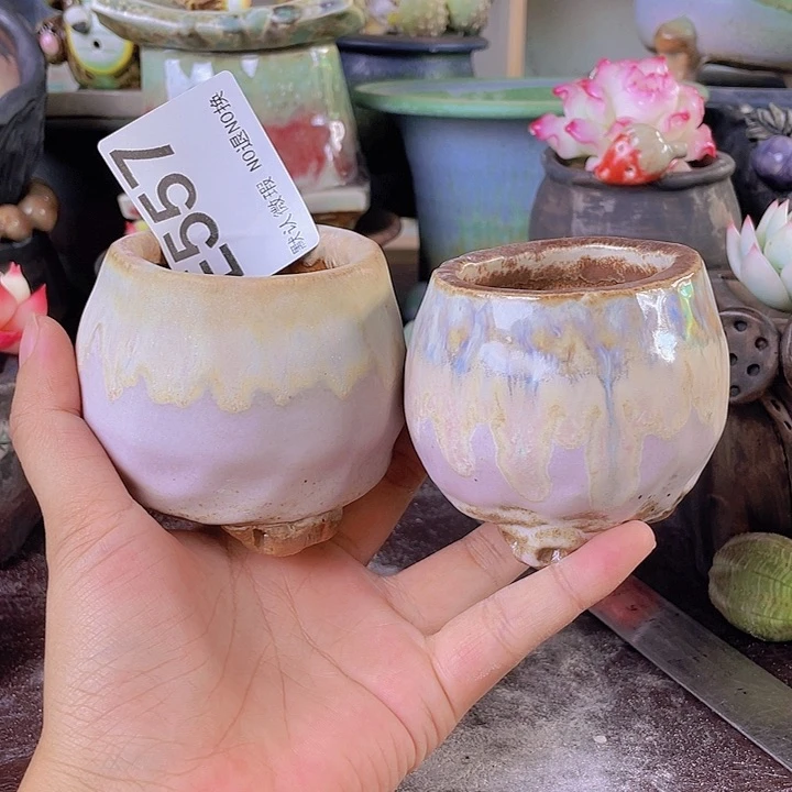 重庆小燕子欢迎大家557
