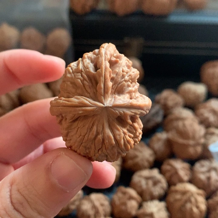 一***秋文玩核桃把件白狮子