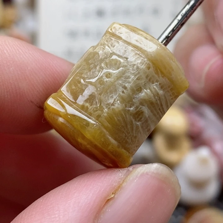 颈饰未镶嵌硅化珊瑚（珊瑚玉）