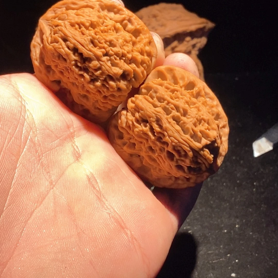 ****羊核桃手串/手链南疆石毕业42