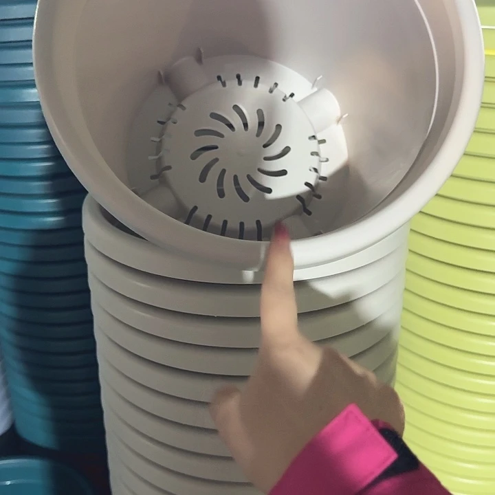 四季5号灰白无托10个特价微瑕