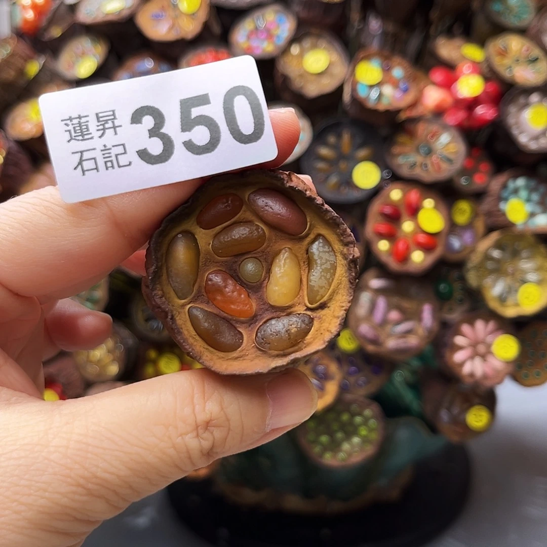 米***虫核桃木/黑胡桃（胡桃木）350