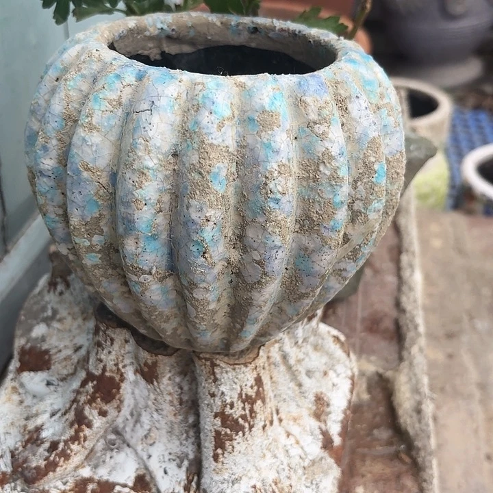 许纯的花房 孤品001