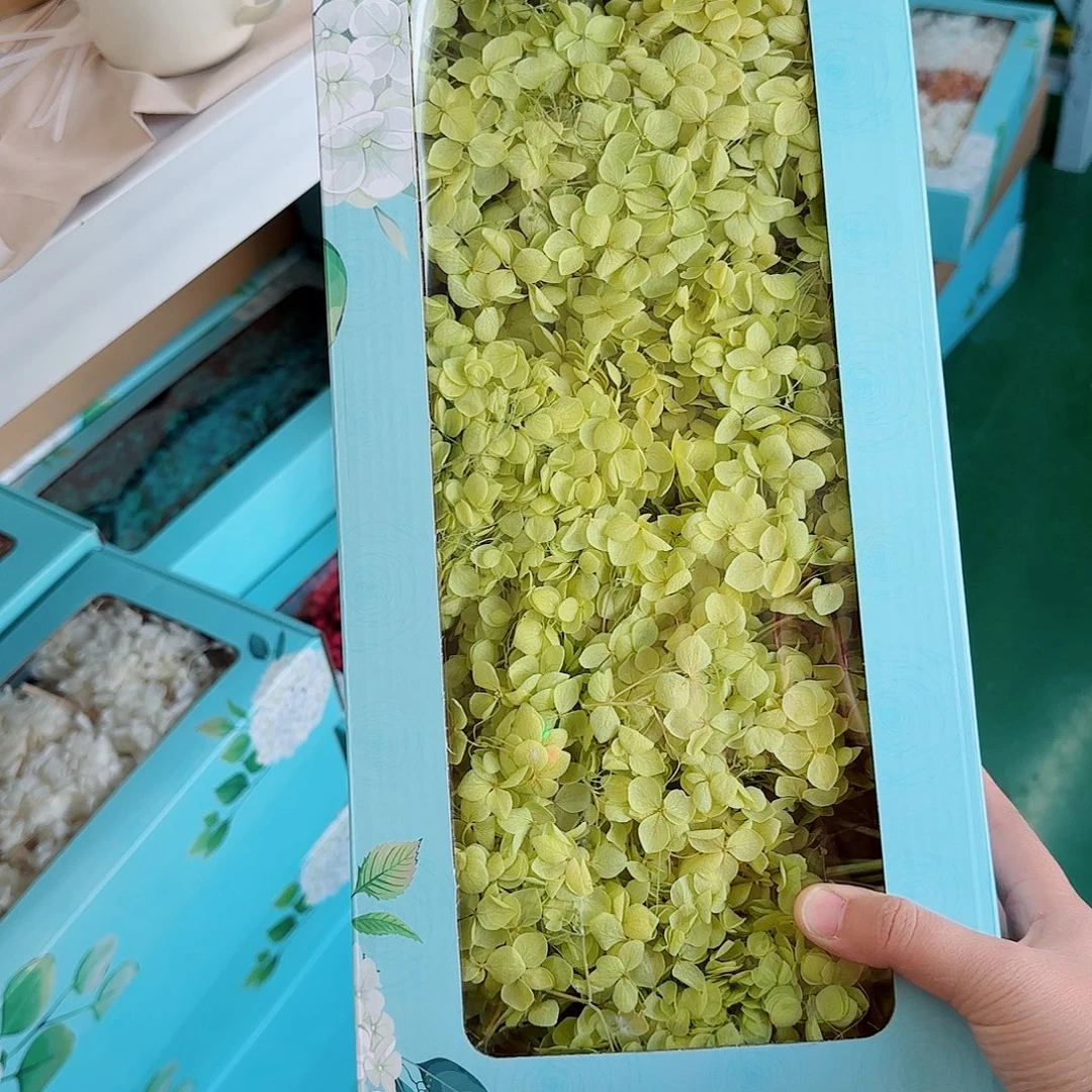 草绿色盒装绣球1盒