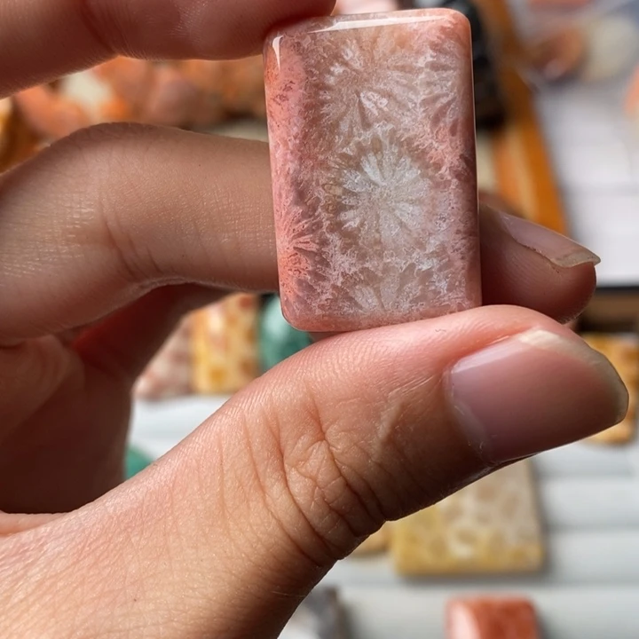 寒***玄硅化玉未镶嵌珊瑚玉