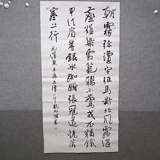 书法四尺整张龙先生多字型草书书法