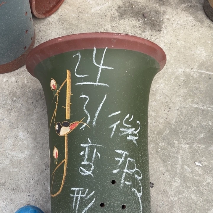 花盆紫砂紫砂的花