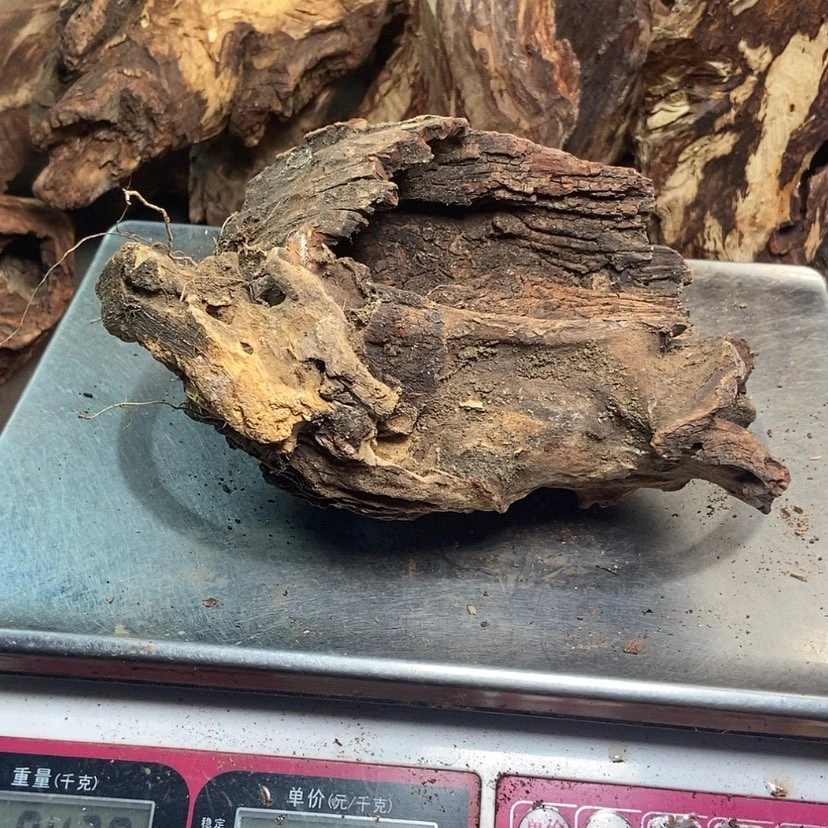 【闪购商品】黄花梨/降香黄檀咖***王