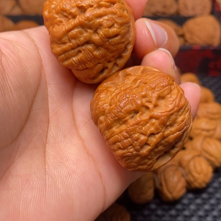 秦岭野生1111111111