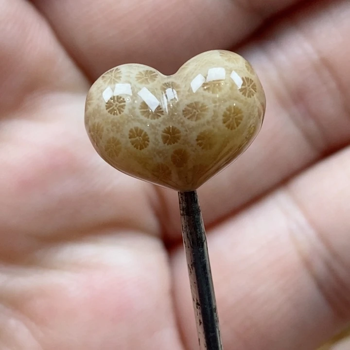 颈饰未镶嵌硅化珊瑚（珊瑚玉）小