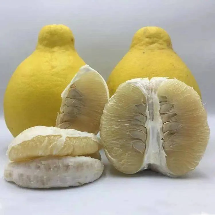 （精选果礼盒装）广西容县沙田柚蜜甜标准山顶老树果4-15斤柚子纯甜