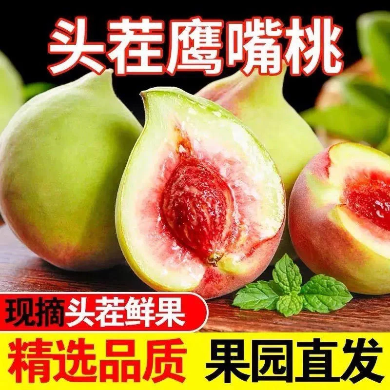 农家正宗鹰嘴桃超脆甜新鲜包邮现摘开远脆甜爽口应季水果