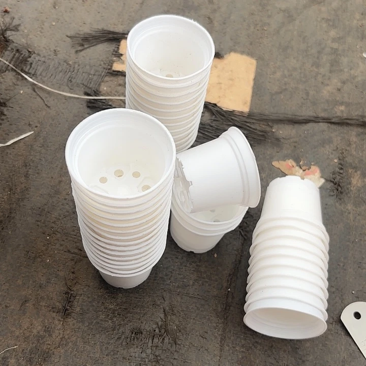 小圆盆5公分60个圆盆