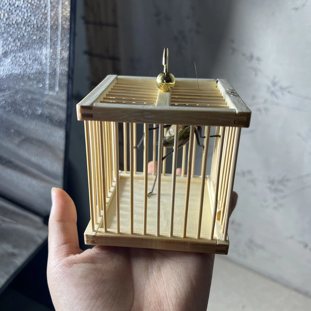 方形笼➕铁皮蝈蝈款式（顺丰包邮  偏远地区不包邮）