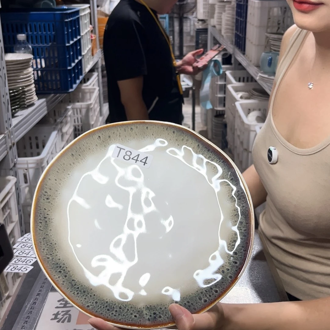 瓷片844              2个