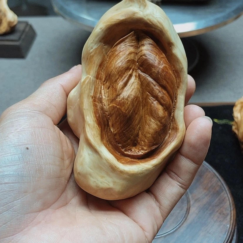 【闪购商品】沧**田手把手的设计和制作