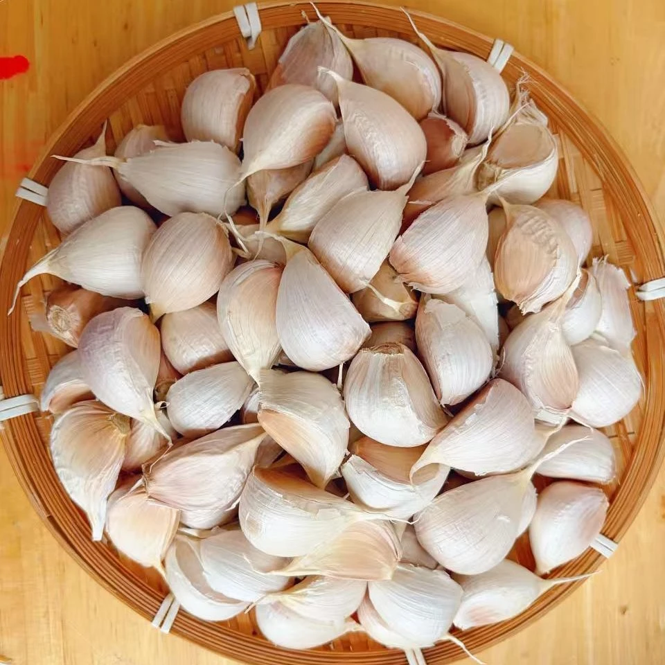 正宗苍山四六瓣大蒜—中瓣 可吃可种植蒜香味浓颗粒饱满