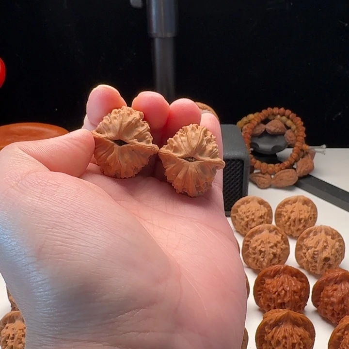 一代天地31尺寸全品