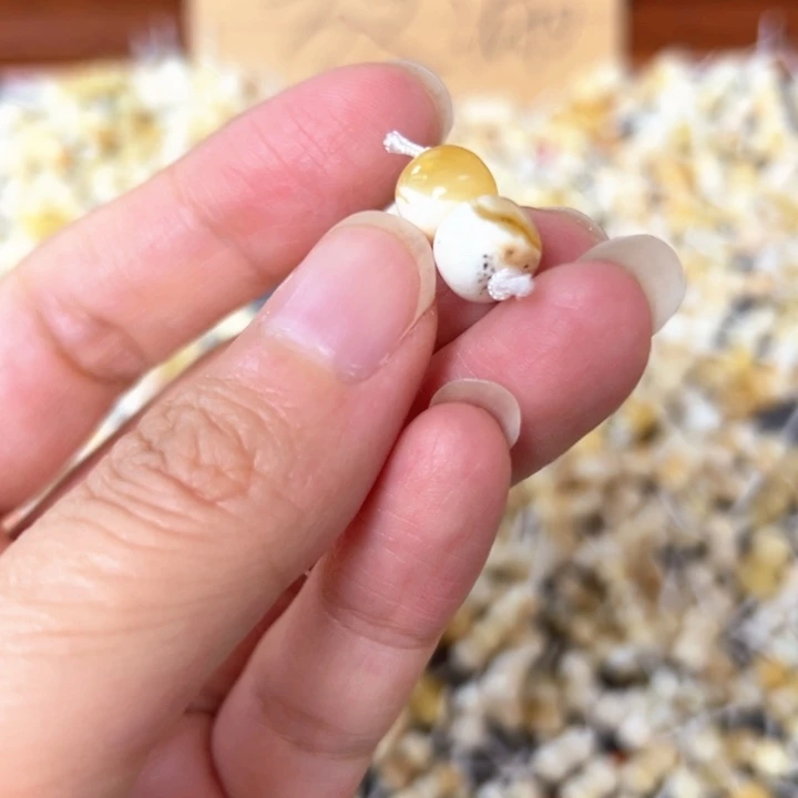 裸石蜜蜡未镶嵌8.5mm一对