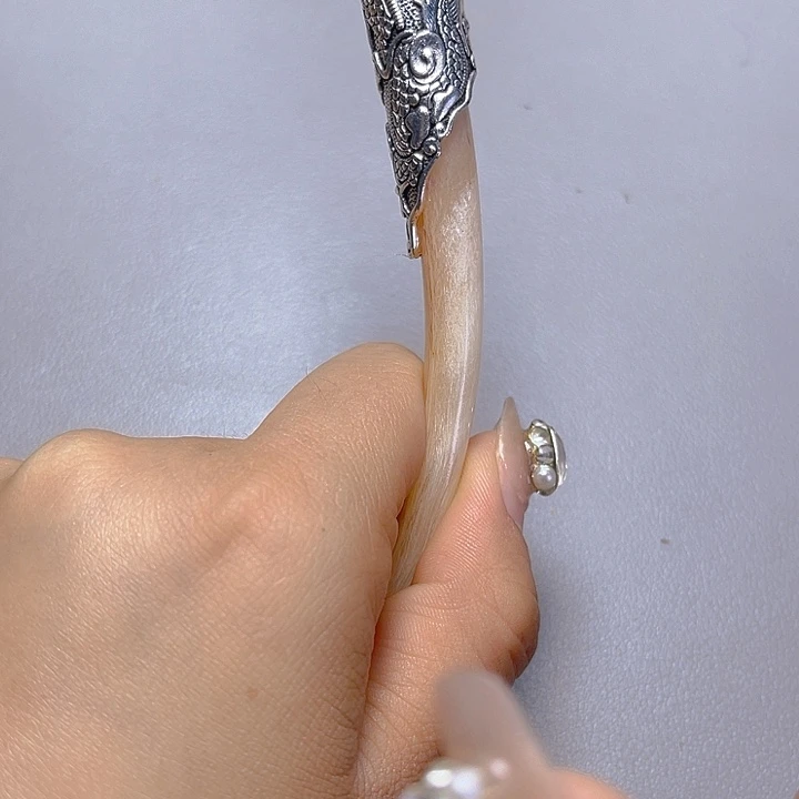 大果紫檀（缅甸花梨）