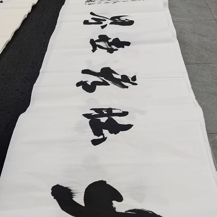 翰墨申国栋老师作品