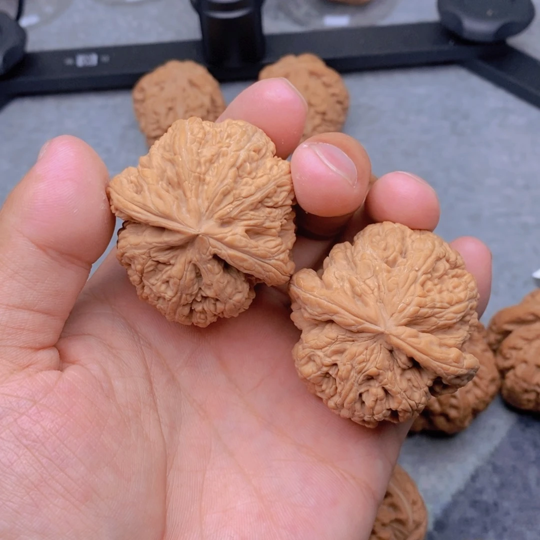 文玩核桃吊坠S**T粗筋1