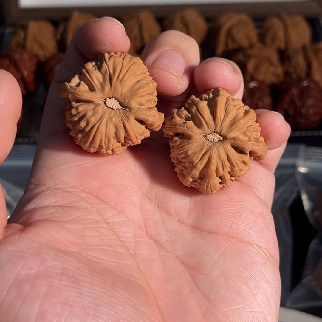 核桃手串/手链海*36全品球白