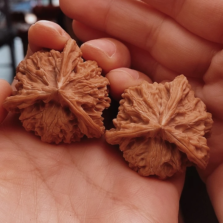 核桃38尺盘山三棱