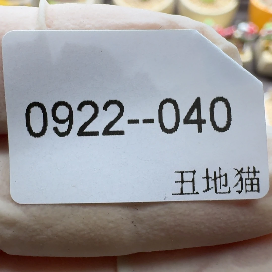 莹***0922-040卷卷卷卷卷