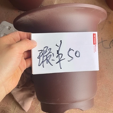 紫砂283838585858582858588